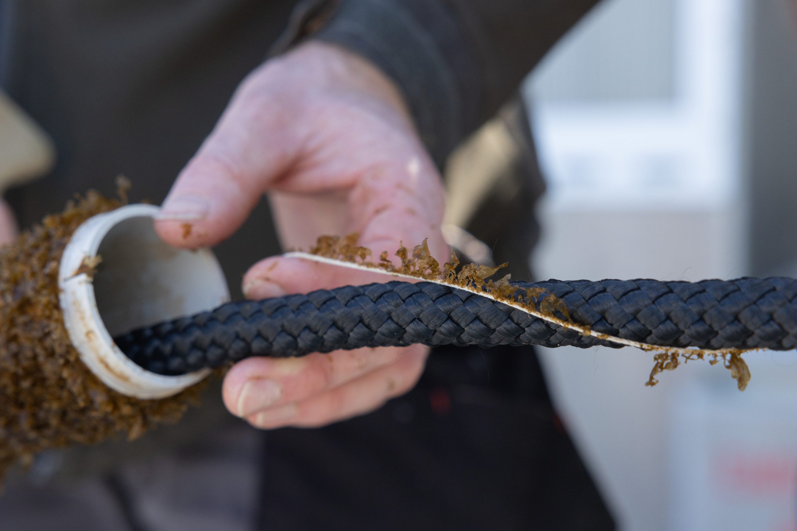 Scott-Sinton_Greenwave-NZ-Outplanting_Press-4098-1-scaled